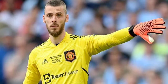 David De Gea Menandatangani Kontrak Dengan Klub Serie A Fiorentina